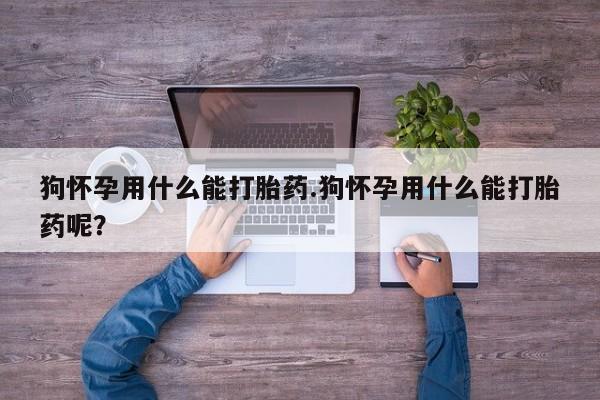 打胎药狗怀孕用什么能打胎药.狗怀孕用什么能打胎药呢？