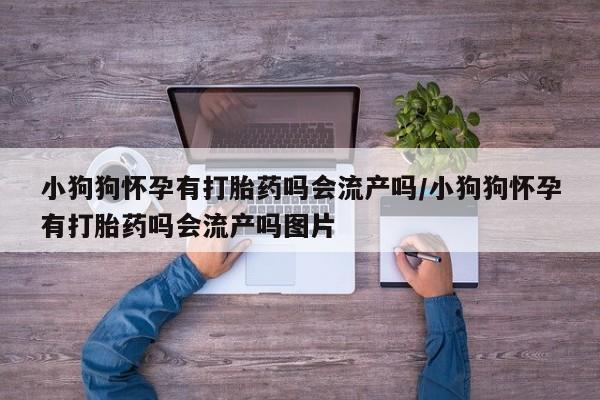 打胎药小狗狗怀孕有打胎药吗会流产吗/小狗狗怀孕有打胎药吗会流产吗图片