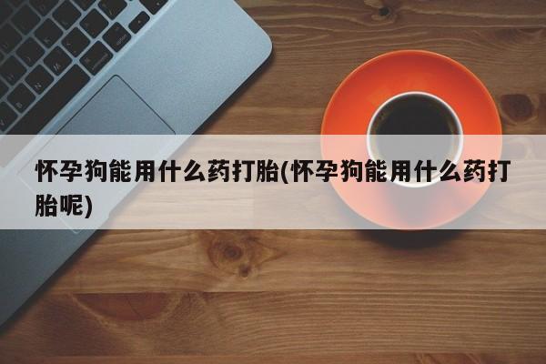 打胎药怀孕狗能用什么药打胎(怀孕狗能用什么药打胎呢)